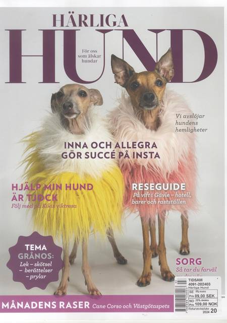 Härliga Hund