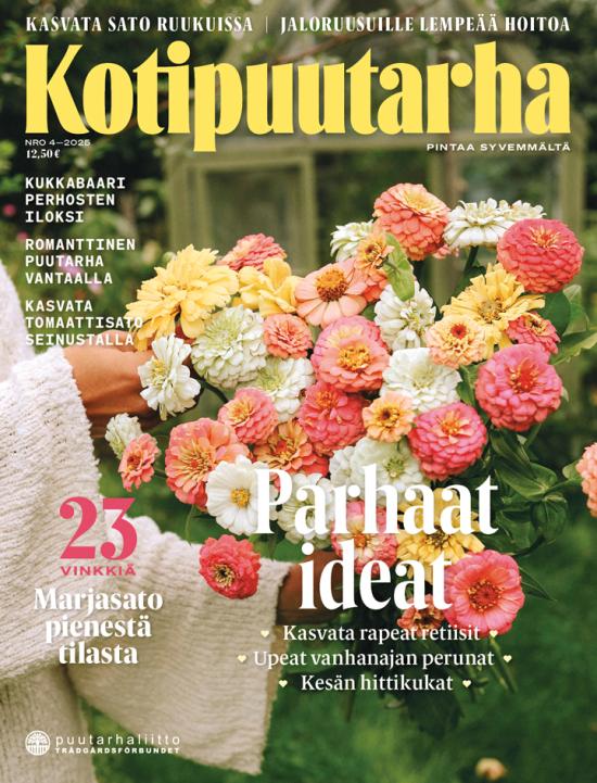 Kotipuutarha