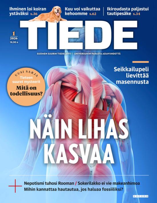 Tiede