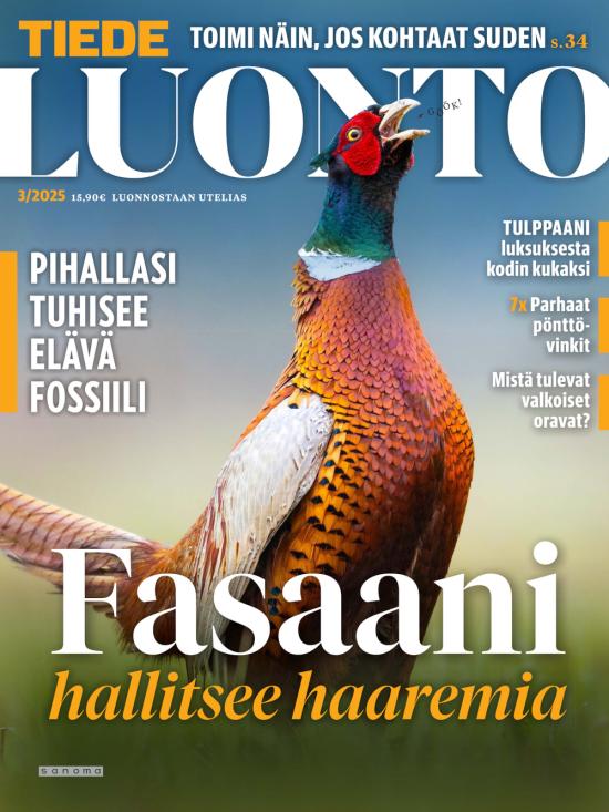 Tiede Luonto