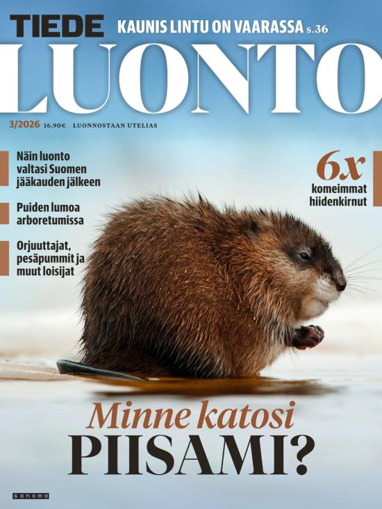 Tiede Luonto