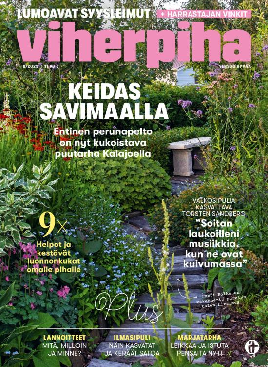 Viherpiha