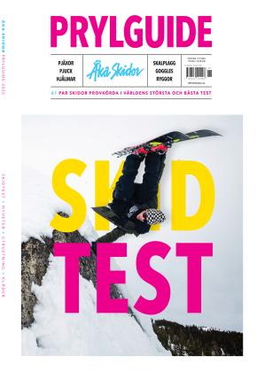 Åka Skidor