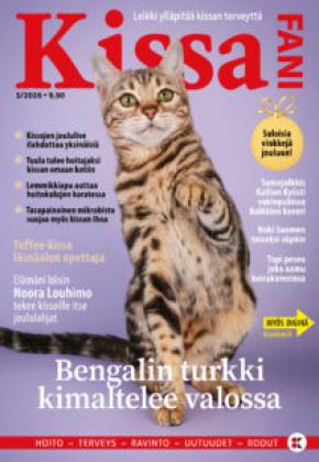 Kissafani