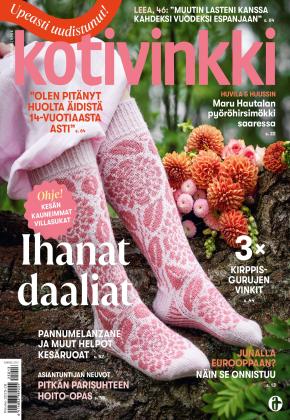 Kotivinkki
