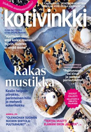 Kotivinkki
