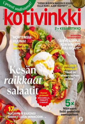 Kotivinkki