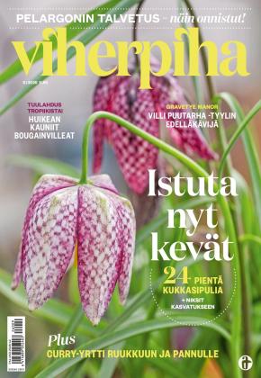 Viherpiha