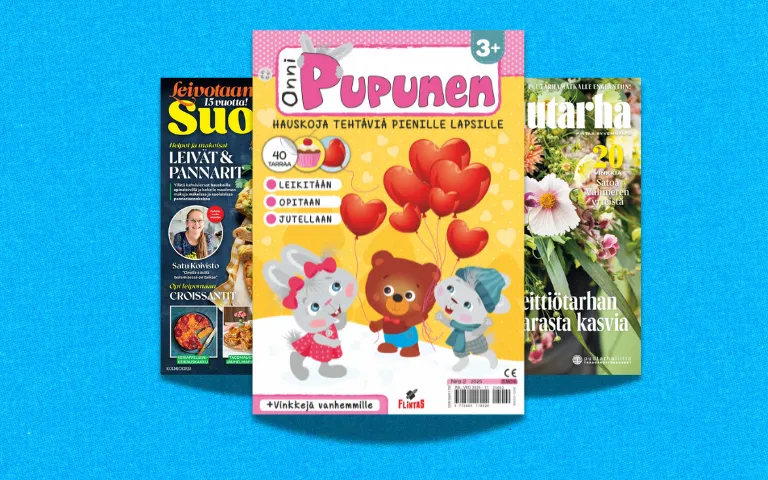 harrastukset